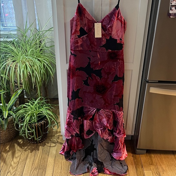 ‼️FINAL PRICE‼️ Hutch  Royce hi lo velvet burnout dress - NWT - Picture 3 of 8